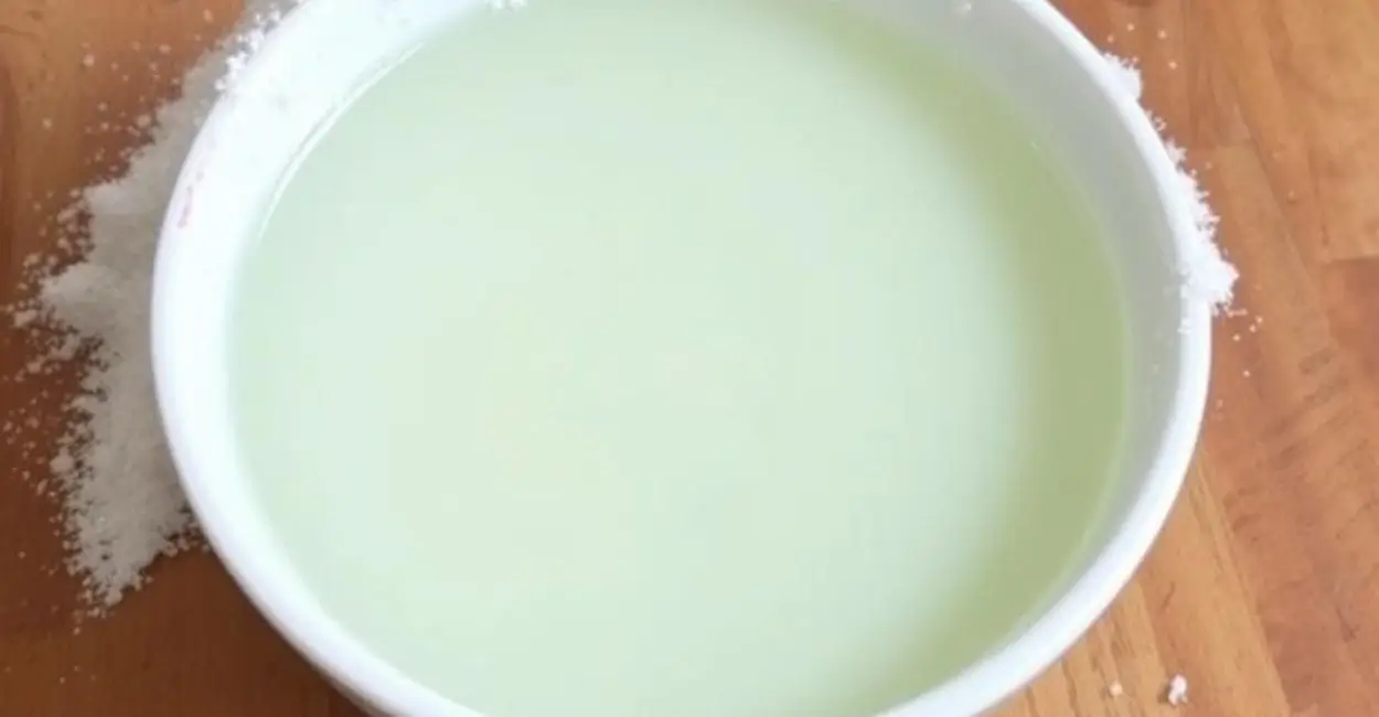 Alternativas Veganas à Gelatina Tradicional