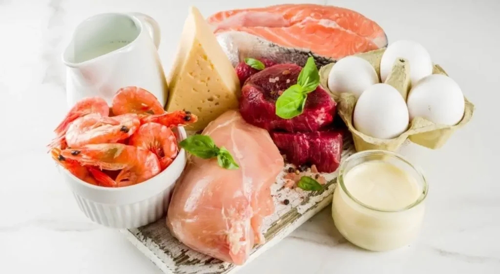 Alimentos Ricos em Proteína de Origem Animal